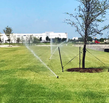 Dallas professional irrigator